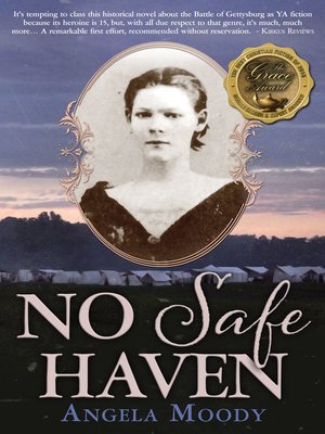 cover image of No Safe Haven